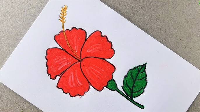 Beautiful Hibiscus Flower Drawing