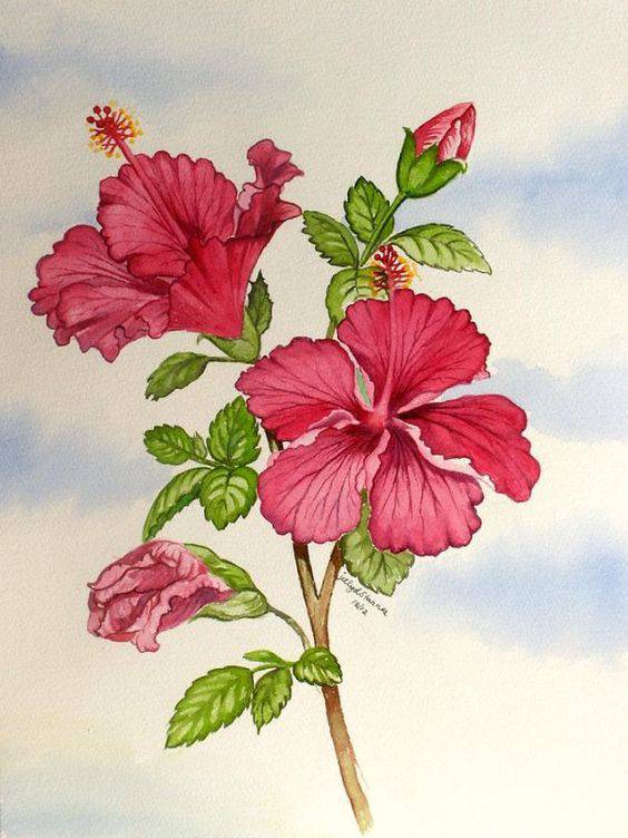 Chembarathi Flower Drawing