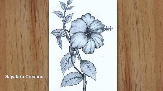 Drawing Of Hibiscus Leaf