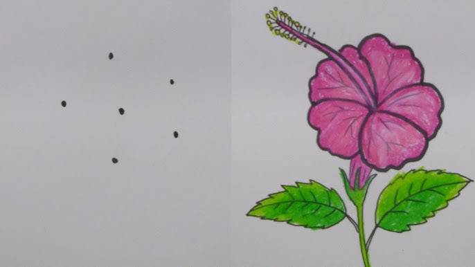 Easy Way To Draw A Hibiscus Flower