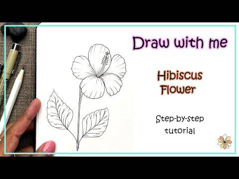 Hibiscus Bud Drawing