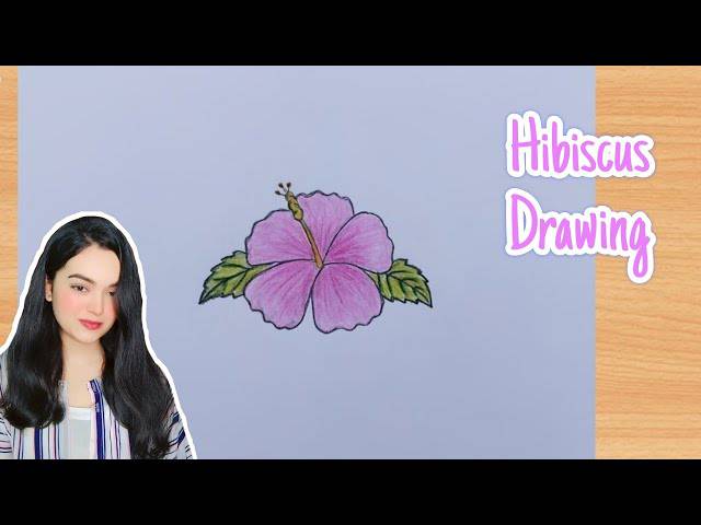 Hibiscus Flower For Drawing