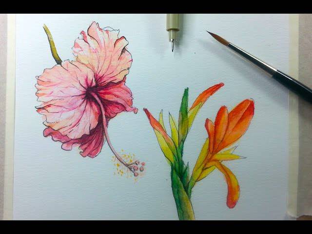 Hibiscus Flower To Draw