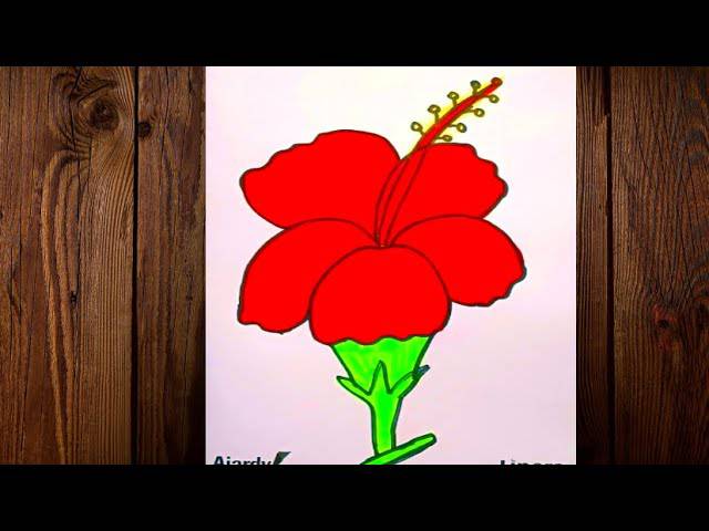 Hibiscus In Drawing