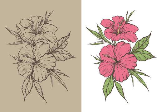 Realistic Hibiscus Drawing