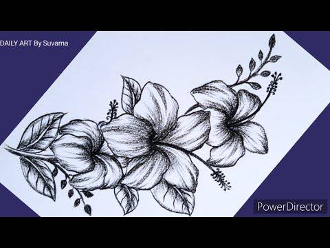 Simple Drawing Of Hibiscus Flower