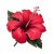 100+ Easy Hibiscus Flower Drawing Ideas